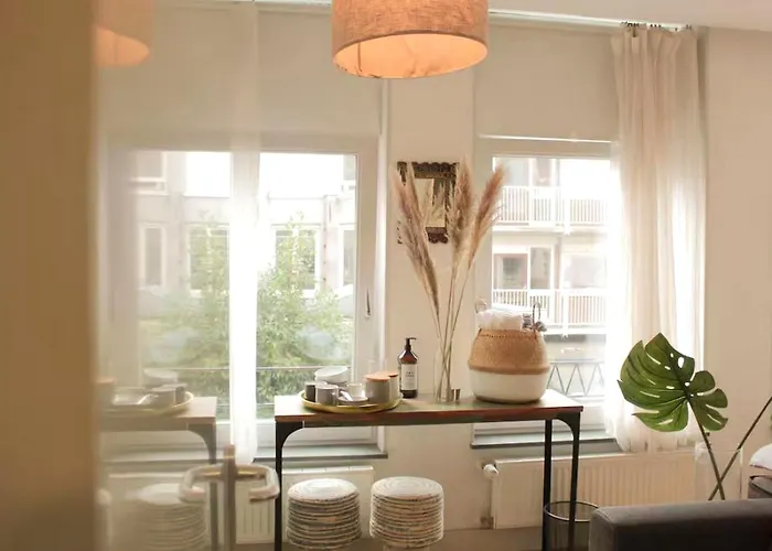 Raul Vlakbik Het Gogh Musem