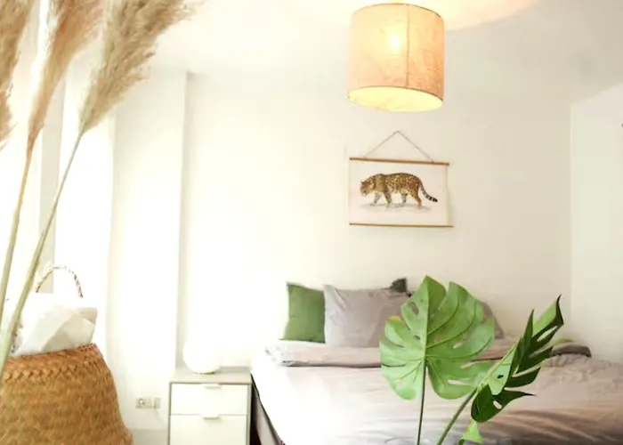 Bed & Breakfast Raul Vlakbik Het Gogh Musem Amsterdam