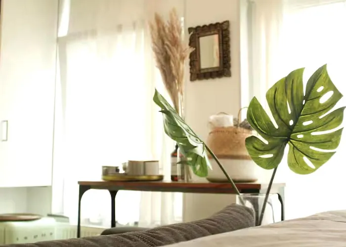 Bed & Breakfast Raul Vlakbik Het Gogh Musem Amsterdam